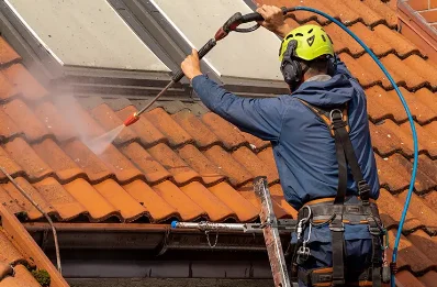 Démoussage et hydrofuge de toiture à Fournels